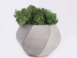 plant4 free img