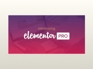 elementor pro