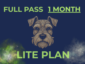 lite plan