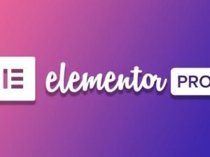 Elementor PRO Plugin for Wordpress