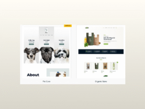 Astra Starter Templates Premium