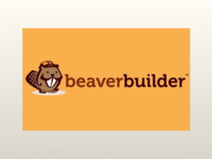 Beaver Builder Pro + Themer – WordPress Page Builder Plugin