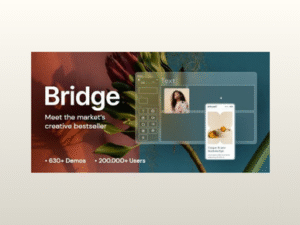Bridge – Creative Elementor and WooCommerce WordPress Theme
