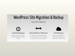 Duplicator Pro – WordPress Backup and Migration Plugin