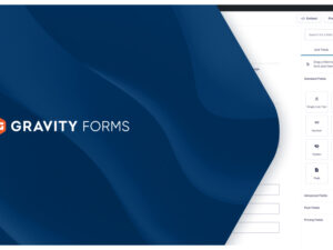 Gravity Forms + Addons – WordPress Form Plugin 2.9.25