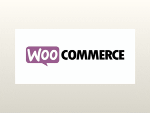 WooCommerce Order Delivery
