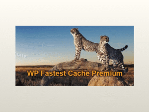 WP Fastest Cache Premium – WordPress Plugin