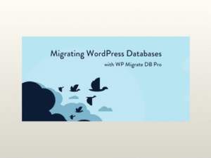 WP Migrate DB Pro – Migrating WordPress Databases