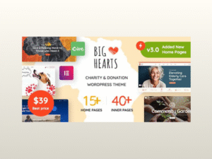 BigHearts – Charity & Donation WordPress Theme