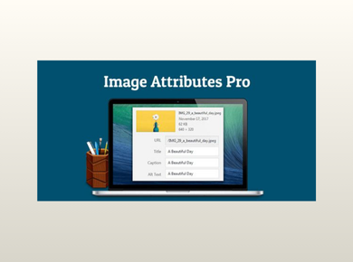 Auto Image Attributes Pro