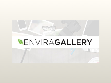 Envira Gallery + Addons – WordPress Gallery Plugin