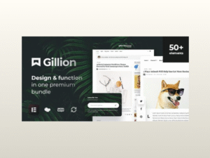 Gillion – Multi-Concept Blog/Magazine & Shop WordPress AMP Theme