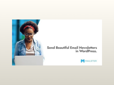 Mailster – Email Newsletter Plugin for WordPress