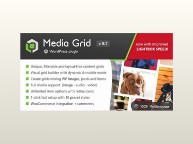 Media Grid – WordPress Responsive Portfolio