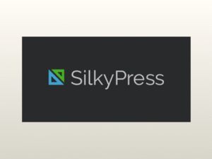Simple Custom CSS and JS Pro