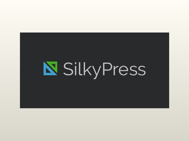 Simple Custom CSS and JS Pro