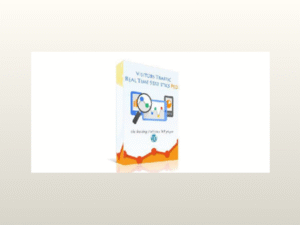 Visitor Traffic Real Time Statistics Pro