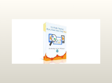 Visitor Traffic Real Time Statistics Pro
