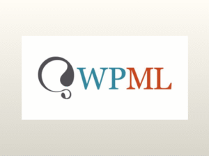 WPML String Translation Addon