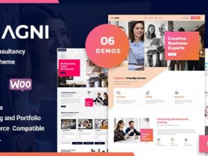 Agni – Consulting Business WordPress Theme