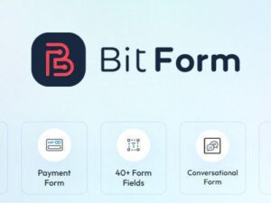 Bit Form Pro – WordPress Form Builder 2.13.5