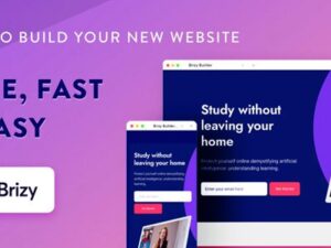 Brizy Pro – WordPress Builder Plugin