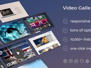 DZS Video Gallery – WordPress Plugin YouTube, Vimeo, Facebook Pages