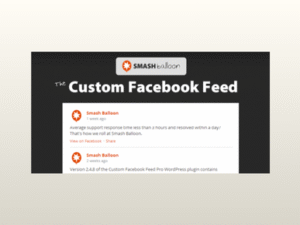 Custom Facebook Feed Pro