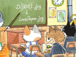 Media File Renamer Pro