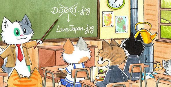 Media File Renamer Pro