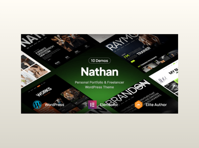 Nathan – Personal Resume CV Portfolio WordPress Theme
