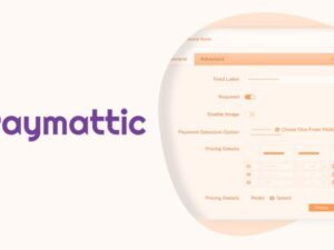 Paymattic Pro – WordPress Payment and Donation Plugin