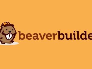 Beaver Builder Pro + Themer – WordPress Page Builder Plugin 2.10.0.3 + 1.5.2.1