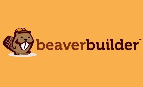 Beaver Builder Pro + Themer – WordPress Page Builder Plugin 2.10.0.3 + 1.5.2.1