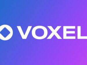 Voxel – Create WordPress Dynamic Sites 1.7.1.2