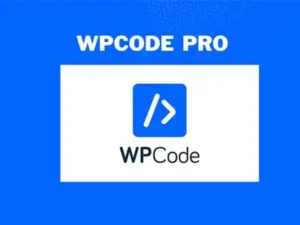 WPCode Pro + Addons – WordPress Code Snippets Plugin