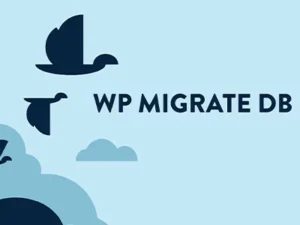 WP Migrate DB Pro – Migrating WordPress Databases