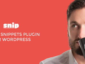 SNIP: Structured Data Plugin for WordPress