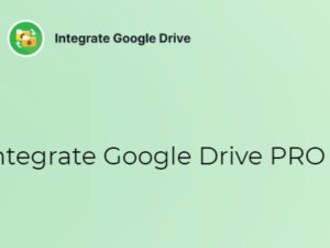Integrate Google Drive Pro