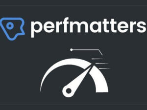 Perfmatters – Lightweight WordPress Performance Plugin