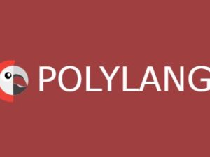 Polylang Pro – WordPress Multilingual Plugin