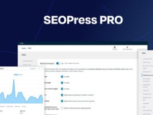 SEOPress Pro – SEO Plugin for WordPress