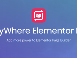 AnyWhere Elementor Pro 2.29.3