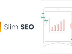 Slim SEO Pro + Schema – Advanced SEO Made Simple 1.7.0 + 2.7.1