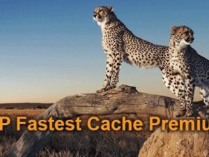 WP Fastest Cache Premium – WordPress Plugin 1.7.6
