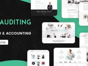 Auditing – Accounting Consultant, Finance WordPress Theme 3.3