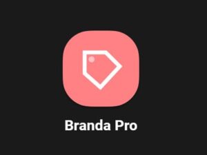 Branda Pro – White Label WordPress Plugin 3.4.29