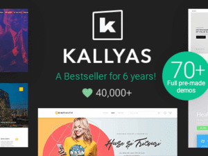 Kallyas – Creative eCommerce Multi-Purpose WordPress Theme 4.22.0