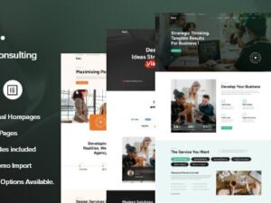 Raki – Business, Finance Consulting WordPress Theme 1.0.8