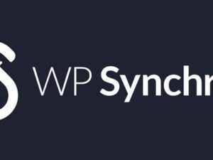 WP Synchro Pro – WordPress Migration Plugin 1.13.0